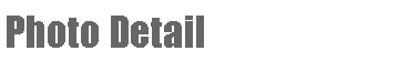 Text Box: Photo Detail